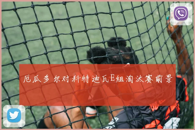 厄瓜多尔对科特迪瓦E组淘汰赛前景