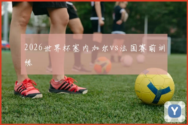 2026世界杯塞内加尔vs法国赛前训练