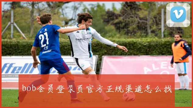 bob会员登录页官方正规渠道怎么找