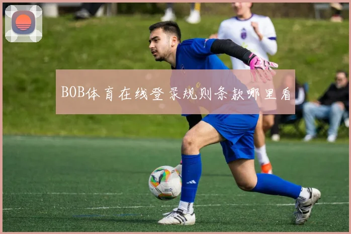 BOB体育在线登录规则条款哪里看